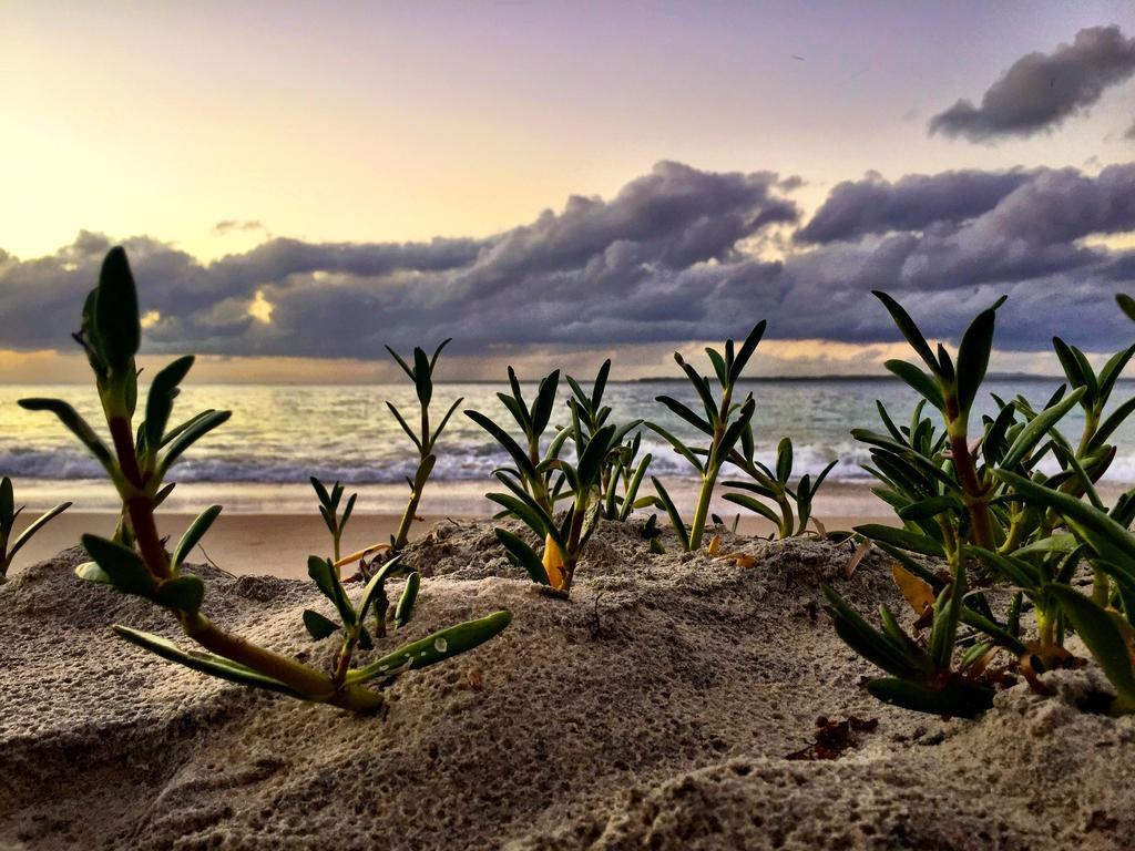 Stradbroke Island Beach Hotel Point Lookout Exteriör bild